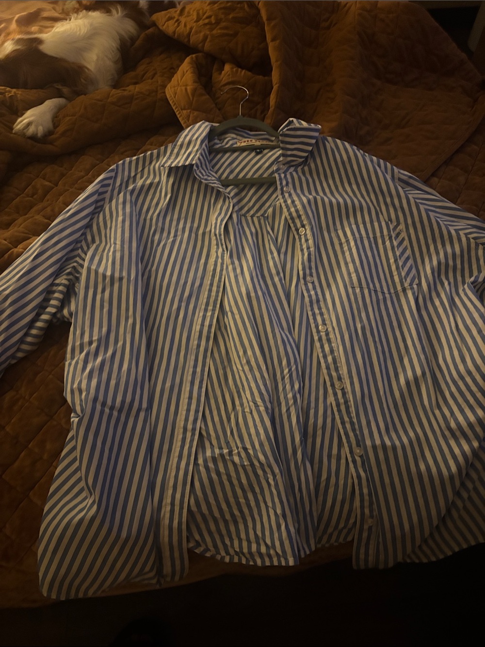 Free People Sabine Striped Articulated Shirt